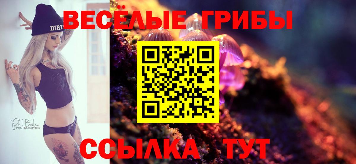 Галлюциногенные грибы Psilocybine cubensis Златоуст